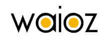 Drive Innovation with Digital Transformation Services | WAIOZ