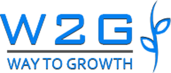 Web Development Company in Delhi NCR