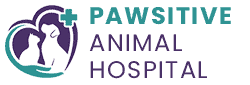 Pawsitive Animal Hospital Winnipeg | Veterinarian in Winnipeg