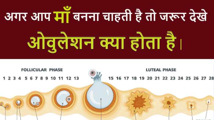 How To Conceive Pregnancy Fast -  महीने के अंदर जल्दी और नेचुरल तरीके के गर्भवती होने के उपाय